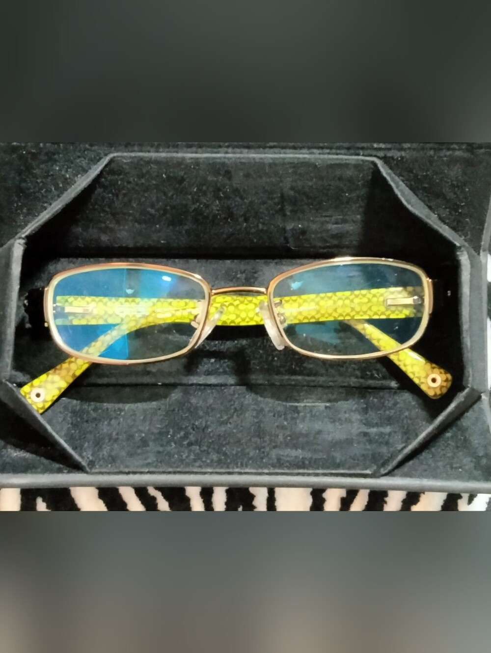 Coach Eyeglasses